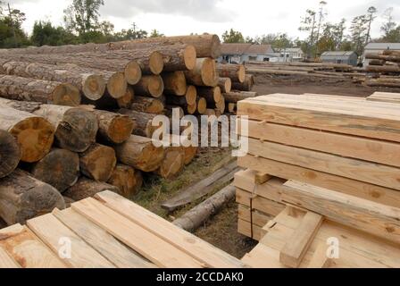 Orange, TX USA, November 10, 2006: Raw and finished lumber at Rogers Lumber Company. The company processes pine lumber into rough-cut boards for the commercial construction industry. ©Bob Daemmrich Stock Photo