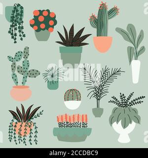 Collection of hand drawn indoor house plants. Collection of potted plants. Colorful flat vector illustration Stock Vector