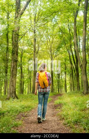 woman backpacker walking through the woods, rear view Stock Photo - Alamy