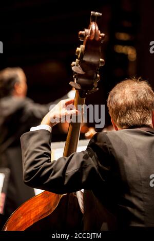 Unrecognizable male musician playing an upright or double bass with a classical orchestra. The conductor can be seen blurred in the background. Stock Photo
