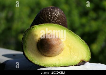Horizontal closeup sunlit fresh avocado and one cut in half with its stone outdoors with a green background Stock Photo