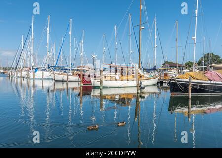 Yachts and boats moored in Birdham Pool Marina near Chichester, West Sussex, UK Stock Photo
