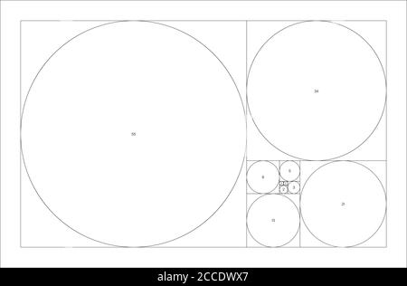 Fibonacci sequence of circles. Golden ratio geometric concept. Vector illustration. Stock Vector