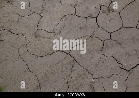 Cracked dry soil on the field during the hot summer, creating an abstract structure. West of Slovakia. Stock Photo