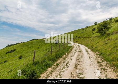 A chalk pathway leading up a green hillside in the South Downs in Sussex Stock Photo