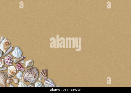 Colorful seashells on sandy beach background texture with copy space. Stock Photo