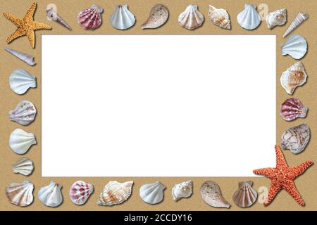 Sandy beach summer background with surrounding framed seashells and white copy space. Stock Photo