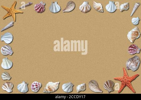 Sandy beach summer background with surrounding seashells and copy space. Stock Photo