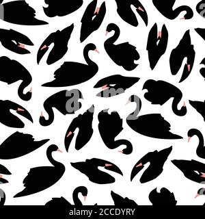 Black swan seamless pattern on white background, vector illustration Stock Vector