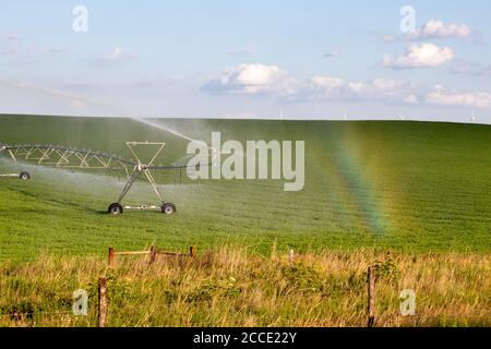 Pivot running in field with rainbow on sunny day . High quality photo Stock Photo