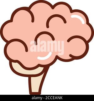 brain human organ line and fill style Stock Vector Image & Art - Alamy