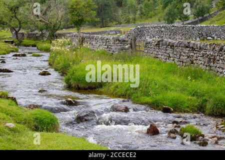 Malham Cove rock formation, Yorkshire Dales National Park, Yorkshire, England Stock Photo