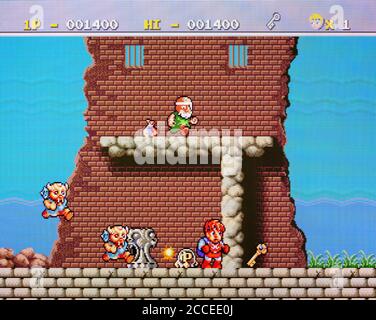 Jeu Vidéo Legend Of Hero Tonma – NEC PC Engine HuCard – NTSC-J – Bon état