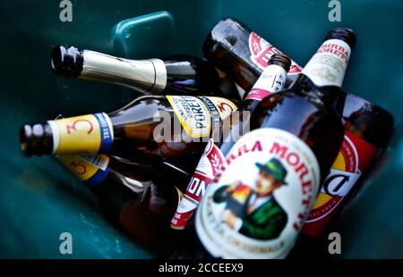 Empty Italian beer bottles in a recycling bin in Italy. Stock Photo