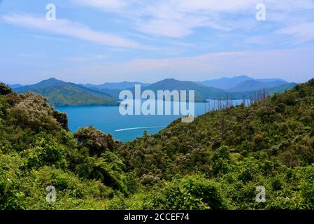 Panoramic view of the Marlborough Sounds from Queen Charlotte Drive near Picton, New Zealand Stock Photo