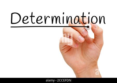 Hand writing the word Determination with black marker on transparent wipe board. Stock Photo