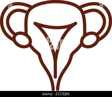 human body female reproductive system anatomy organ health line icon style vector illustration Stock Vector
