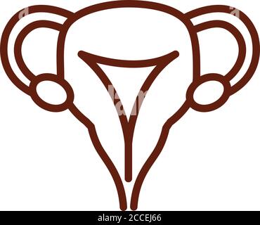 Female reproductive organs line icon. Female reproductive organ, uterus ...