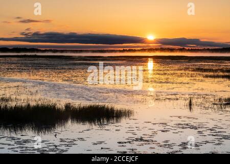 Sunrise over lake, Wisconsin, USA, by Dominique Braud/Dembinsky Photo Assoc Stock Photo