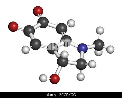 Adrenochrome molecule. Oxidation product of adrenaline. 3D rendering. Atoms are represented as spheres with conventional color coding: hydrogen (white Stock Photo