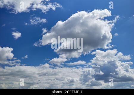 Rain cloud formation in the blue sky. Delightful clouds are flying in the blue skies. Sunlit cumulus clouds. Beautiful daylight Stock Photo