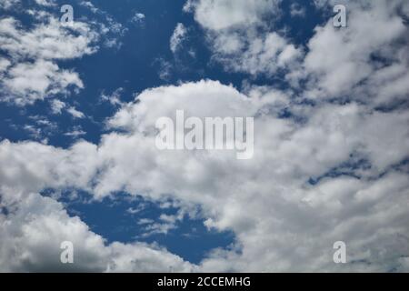 Field of cumulus clouds in blue sky. Background for forecast and meteorology illustration. Puffy, cotton-like, fluffy cirrus cumuli clouds. Stock Photo