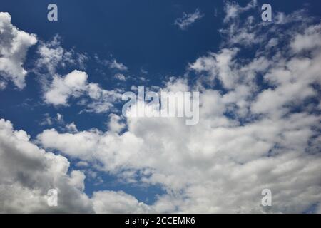 Field of cirrus cumuli clouds in blue sky. Background for forecast and meteorology illustration. Stratocumulus clouds floating overhead Stock Photo