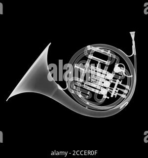 Brass French horn, X-ray Stock Photo