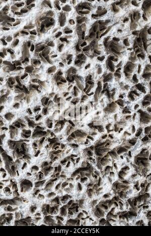 close up macro on Pumice stone background texture. Stock Photo