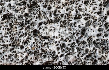 close up macro on Pumice stone background texture. Stock Photo