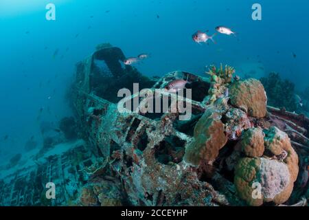 Scuba Diver over Coral Reef, New Ireland, Papua New Guinea Stock Photo