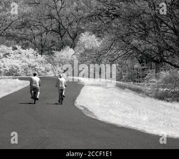 An infrared photo of a couple enjoying a bike ride down a tree-lined path. Stock Photo