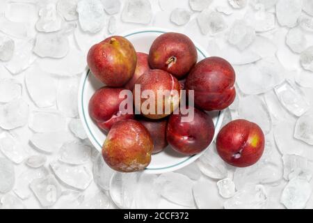 Top view of Mariposa plums in a white bowl on a background of ice cubes. Stock Photo