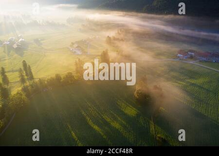 Ground fog at sunrise, Jachenau, Isarwinkel, aerial view, Upper Bavaria, Bavaria, Germany Stock Photo