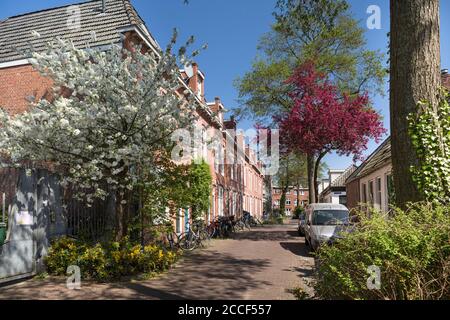 View of a small street in Groningen, the Netherlands Stock Photo