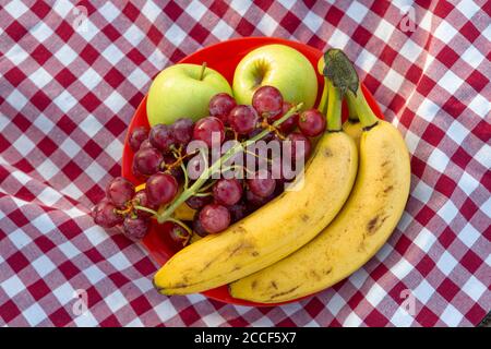 Reusable plate with fruit, banana, apple, grapes placed on a typical red and white checkered camping tablecloth, Stock Photo