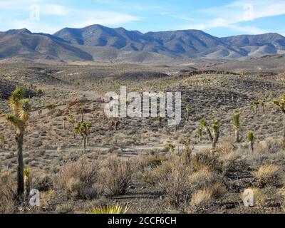 Nevada Desert landscape near Area 51 Stock Photo