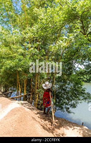 Woman with white hat stands next to a bamboo tree, (Bambusoideae), Ivoloina River, Taomasina, Tamatave, Madagascar, Africa, Indian Ocean Stock Photo