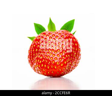 Freshly harvested strawberry isolated on white background Stock Photo