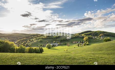 View in Hochrotherd (also Hochroterd) of the hilly landscape of the Wienerwald, Breitenfurt near Vienna, Mödling district, Lower Austria, Austria