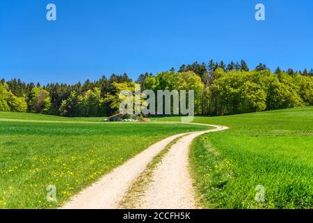 Germany, Bavaria, Upper Bavaria, Tölzer Land, Egling, Thanning district, cultural landscape Stock Photo