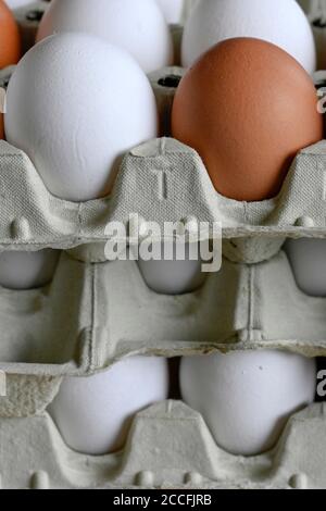 White and brown eggs Stock Photo