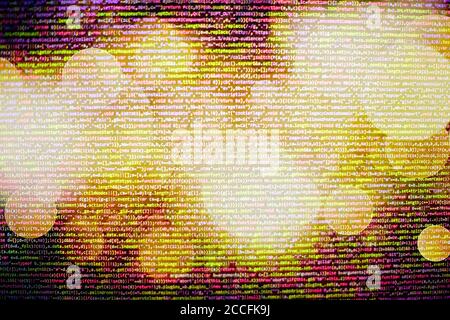 Programming code abstract technology background of software developer and Computer script. Stock Photo