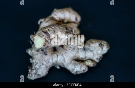 Ginger or Zingiber officinale on black background. Used as a spice and a folk medicine. Stock Photo