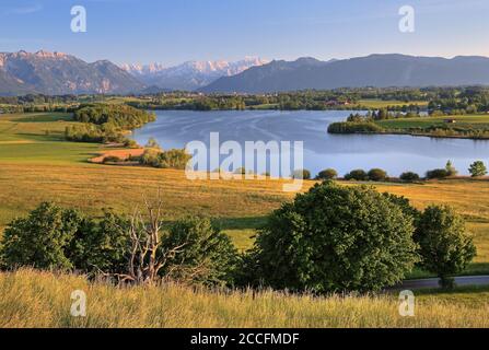 Panorama with Riegsee, Zugspitzgruppe (2962m) in the Wetterstein Mountains and Ammergau Alps, Aidling, Das Blaue Land, Upper Bavaria, Bavaria, Germany Stock Photo