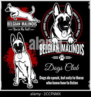 Malinois, Belgian Malinois, Belgian Shepherd Dog - vector set for t-shirt, logo and template badges Stock Vector