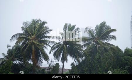 HEAVY RAINS AND LASHING WINDS DURING CYCLONE NISARG ON MARCH 30, 2020 IN MUMBAI, INDIA Stock Photo