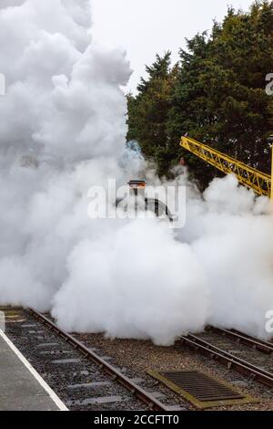 Ex-GWR steam loco 6960 'Raveningham Hall' makes dramatic departure from the engine shed at Minehead, West Somerset Railway Spring Gala, England, UK Stock Photo