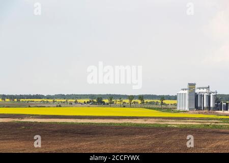 Field of rapeseed flowers, plant for cleaning and storage of agricultural products, flour, cereals and grains. Stock Photo