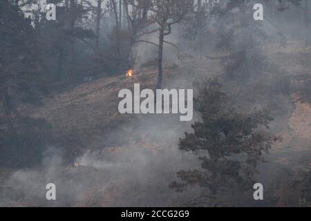 August 22, 2020, Santa Cruz/Davenport, California, USA: CZU Lightning Complex Fire: Hwy 1 North of Santa Cruz: .Smoking embers re-ignited around sunset on August 21, after fire destroyed dozens of homes yesterday on the scenic stretch of Hwy 1, aka Cabrillo Highway, between the towns of Santa Cruz and Pescadero, a scenic 35 miles or 56 km drive along the Pacific Ocean that was clouded in smoke, evacuated and shut down.Winding up from the coast, along the back side of Big Basin State Park, near the Last Chance Road, residents were on the front lines for three converging fires early this week Stock Photo